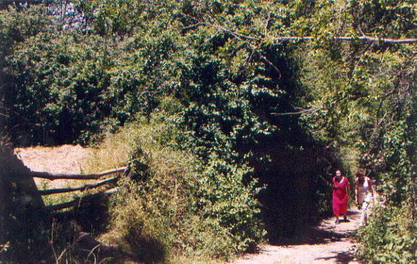 El Risco Del Lomero, Alberca 4 Huesp Max Valdelarco Exterior photo